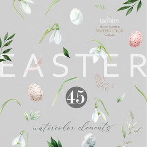 Clipart de acuarela de primavera de Pascua, campanillas de invierno florales, clip art de huevos, acuarela floral, primeras flores, hierbas, elementos PNG, hojas verdes