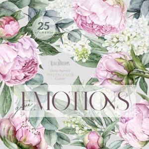 Bloemen clipart, Eucalyptus, lichtroze pioenrozen, pioenroos, groen, aquarelelementen, Boho Boho Wedding, verjaardagsuitnodigingen, kaarten PNG