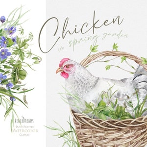 Aquarelle Poulet Clipart Poule Blanche Véritable Animal de Ferme Mignon Pays Clipart Cuisine Impressions Rustique Village Oiseaux Printemps Jardin Fleurs PNG