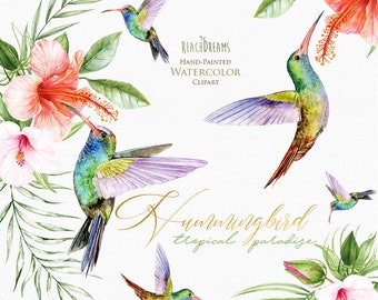 Download Hummingbird Svg Etsy