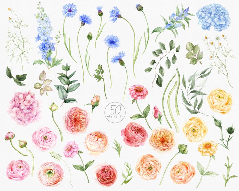 Op de afbeelding: Waterverf bloemelementen in roze, blauw en geel. De afbeelding toont verschillende bloemen, waaronder rozen, hortensia's en korenbloemen, samen met groene bladeren en stelen. De tekst "50 elements" staat in het midden.