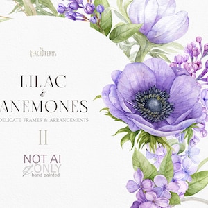 Violeta Floral Clipart Lila Anémonas Acuarela Púrpura Primavera Flores Marcos Fronteras Clip art Premade Clipart Invitaciones de boda png