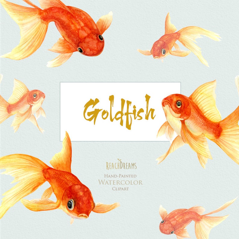 May include: Watercolor illustration of six goldfish with orange and yellow scales. The goldfish are swimming in different directions. The text "Goldfish" is written in gold lettering on a white background.
