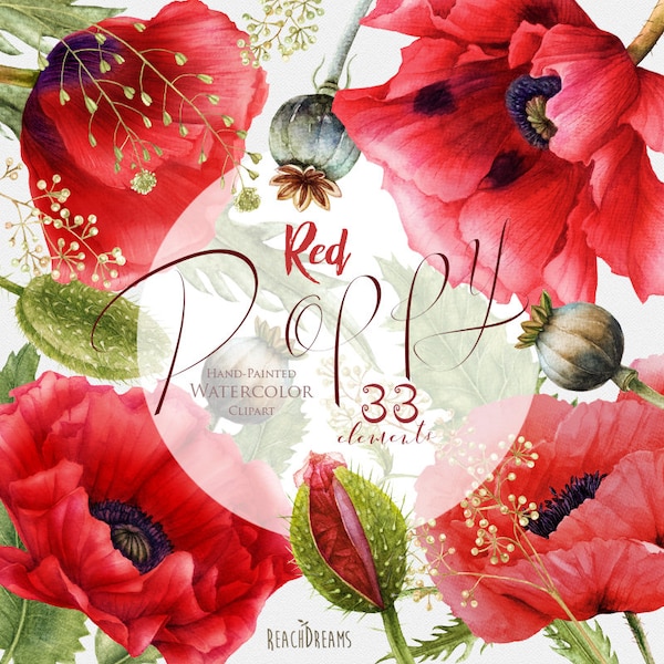 Watercolor Red Poppy, Handpainted elements, poppies flowers, wedding invitations, boho, floral frame clipart, greeting card, diy clip art