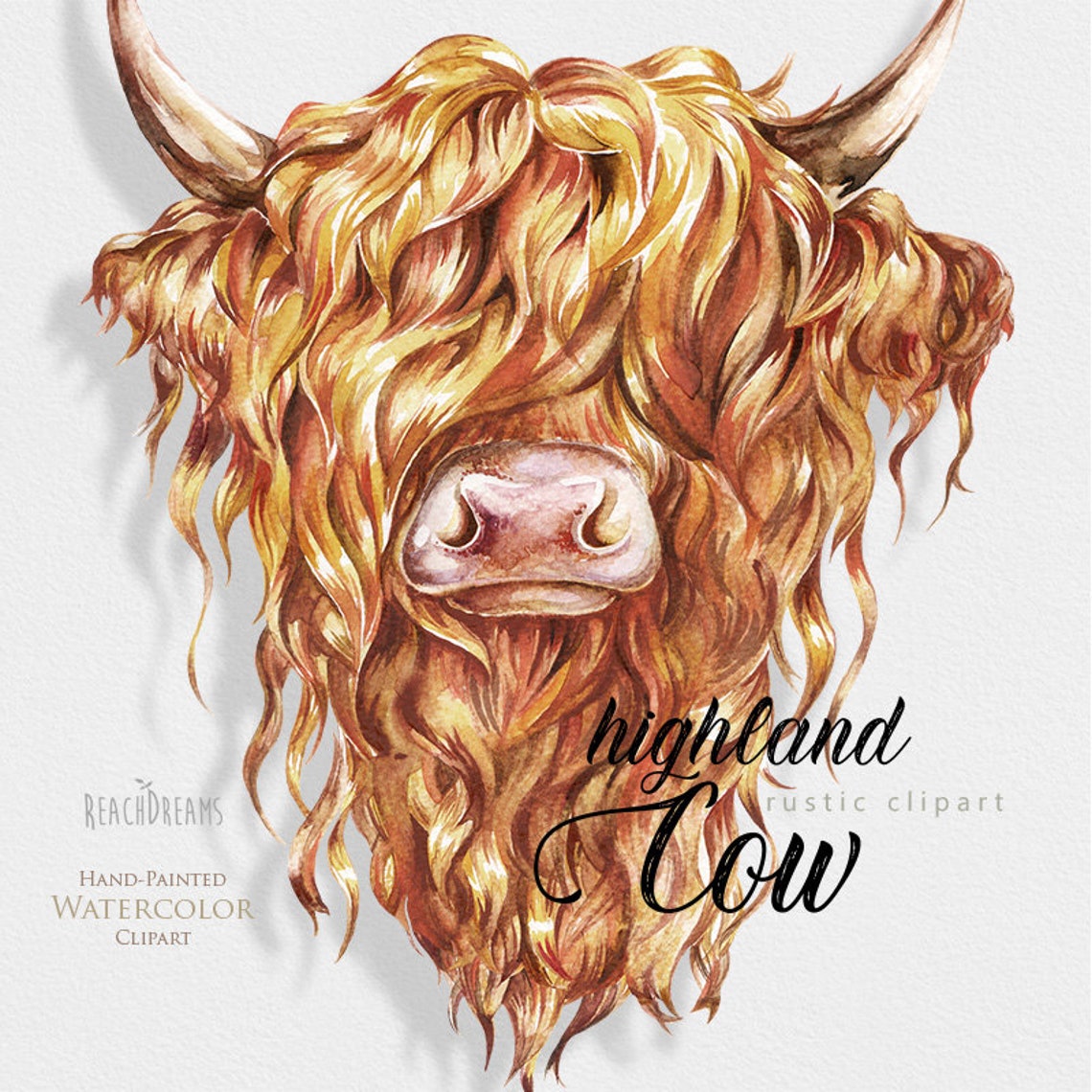 Highland Cow Png Watercolor Cow Clipart Highland Cows Head - Etsy