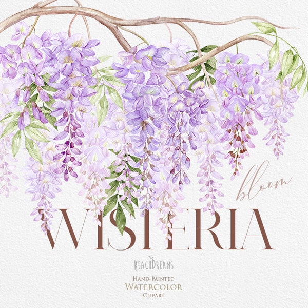 Wisteria Floral Clipart, Aquarelle Frame Clipart, Flower Sublimation Graphics, Fleurs violettes, Violet, Lilas, branches, invitations de cadrage