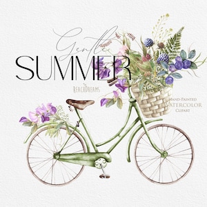Fleurs sauvages Aquarelle Floral Clipart Vélo Mariage Baies Sauvages Herbes Plantes Printemps Été Prairie Herbes Fleurs Graphiques Botanique PNG