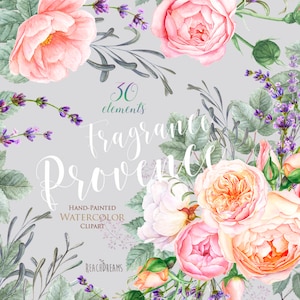 lavanda, Flores de rosas Acuarela, Elementos florales, Arte botánico, Provenza, Boho, Clipart de boda pintado a mano. Tarjeta de felicitación digital png