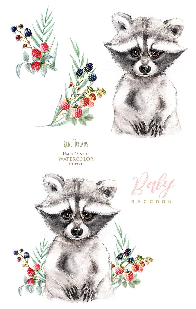 Download Watercolor Raccoon. Little animals clipart babies portrait ...