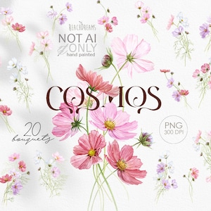 Cosmos Flores Clipart, Flores Silvestres PNG, Prado De Verão Em Aquarela, Buquês Florais Delicados Coloridos, Clipart De Flores, Flores Em Aquarela PNG