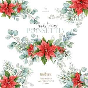 Buquês de Natal, eucalipto em aquarela, poinsétia, estrela de Natal, clipart floral, ano novo, abeto, penas, folhagens, casamento, png