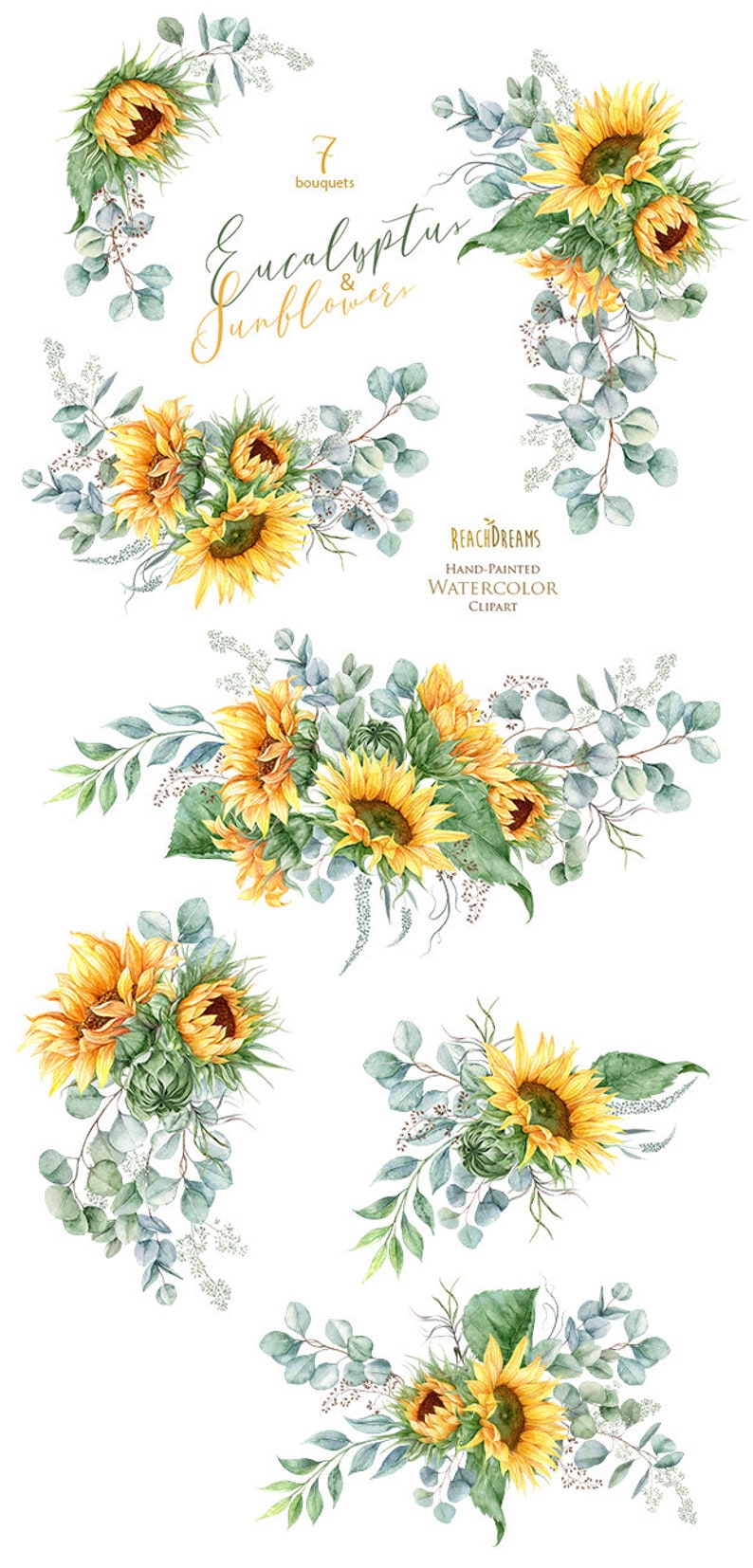 K&ouml;nnte beinhalten: Sieben Aquarell-Bouquets aus Sonnenblumen und Eukalyptusbl&auml;ttern. Die Bouquets sind kreisf&ouml;rmig angeordnet, wobei die Sonnenblumen nach au&szlig;en zeigen. Die Sonnenblumen sind gelb mit braunen Zentren, und die Eukalyptusbl&auml;tter sind gr&uuml;n. Der Text "7 bouquets Eucalyptus & Sunflowers" ist in goldenen Buchstaben oben im Bild geschrieben. Der Text "REACH DREAMS HAND-PAINTED WATERCOLOR CLIPART" ist in goldenen Buchstaben unten im Bild geschrieben.