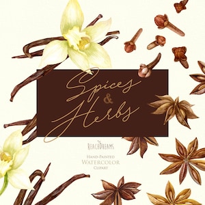May include: Watercolour illustration of spices and herbs, including vanilla beans, star anise and cloves. The illustration is set against a light beige background with the text "Spices & Herbs" in a brown rectangle.
