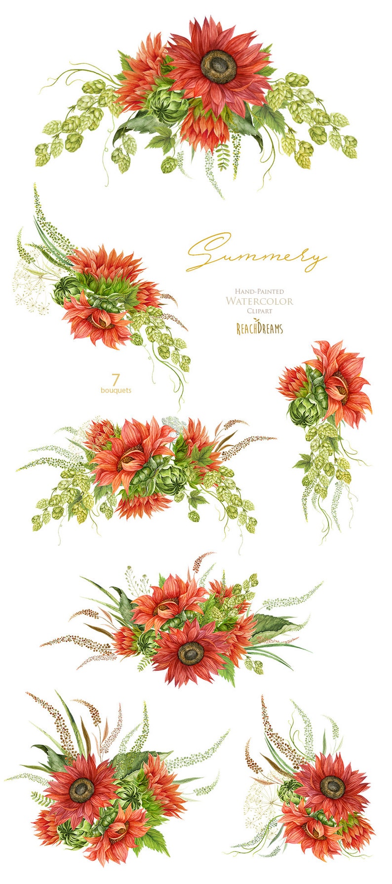 May include: Seven watercolor illustrations of bouquets of red sunflowers and green hops. The text "Summery" is written in gold script above the bouquets. The text "Hand-Painted Watercolor Clipart" is written in black below the bouquets. The text "ReachDreams" is written in black below the text "Hand-Painted Watercolor Clipart".