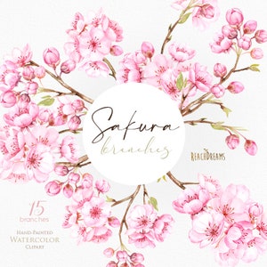Ramas de Sakura. Imágenes prediseñadas florales de acuarela, flor de cerezo, rosa, flores, boda, novia, rama, delicado, suave, fresco, jardín de primavera