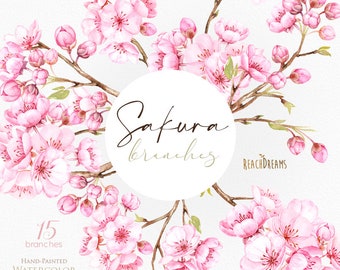 Sakura Branches. Watercolor floral clipart, cherry blossom, pink, flowers, wedding, bridal, branch, delicate, gentle, fresh, spring garden