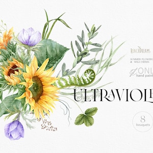 Zawilce słonecznika eukaliptusowego clipart, liście zieleni, dzikie zioła akwarela bukiety kwiatowe, artystyczne kwiaty Boho, ręcznie malowane wesele