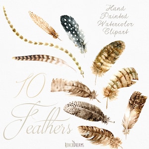 Feathers Watercolor Clipart. Hand painted, DIY elements, invite, Printable png, Boho style, Trendy Digital Image, Tribal