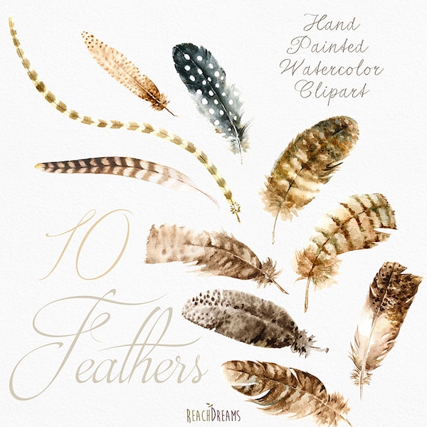 Feathers of Style Clipart - Etsy