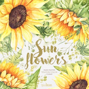 Tournesol Aquarelle Fleur clipart, Éléments séparés, peint à la main, DIY Clip Art, Herbe d’été, invitation florale, carte de voeux, fichiers PNG