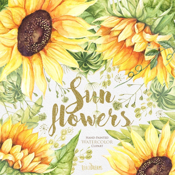 Sunflower Watercolor Flower clipart, Separate elements, Hand painted, DIY Clip Art, Summer Herb, floral invitation, greeting card, PNG files