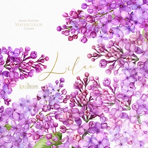 Lila acuarela Clipart, elementos florales, boda, invitación, saludo, flores, cita, primavera, púrpura, ramas, hojas verdes, tarjeta, png
