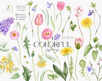 May include: Watercolor illustrations of spring flowers, including tulips, dandelions, lilacs, and snowdrops. The illustrations are hand-painted and perfect for adding a touch of spring to your designs.