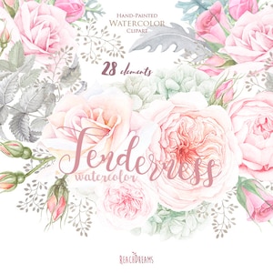 Floral Watercolor Elements, Roses, Hydrangeas, Bohemian Boho Flowers. Hand Painted Wedding Clipart. Bridal, Suite, Digital png, greeting image 1