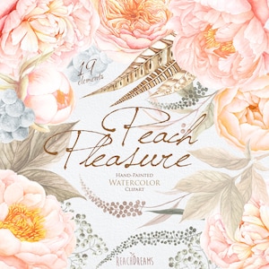 Clipart di nozze Acquerello, Peach Peonies, Fiori di Rose, Piume, ClipArt dipinte a mano, inviti floreali, biglietto d'auguri, elementi fai da te