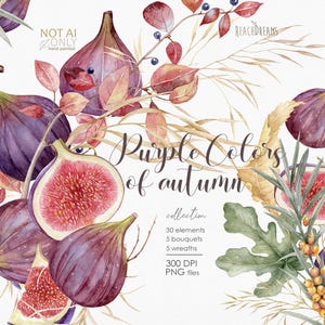 May include: Watercolor illustration featuring ripe figs in shades of purple and red, with detailed leaves and branches. The text "Purple Colors of autumn collection" is displayed. The image includes 30 elements, 5 bouquets, and 5 wreaths.