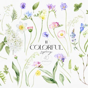 May include: Watercolor illustrations of various spring flowers and foliage, including lilac, freesia, lily of the valley, and ferns. The image is titled "II Colorful Spring 40 elements".
