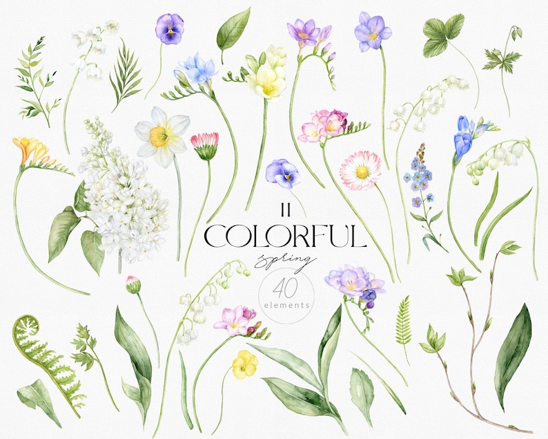 May include: Watercolor illustrations of various spring flowers and foliage, including lilac, freesia, lily of the valley, and ferns. The image is titled "II Colorful Spring 40 elements".