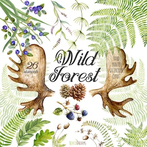 Aquarelle ClipArt Myrtille dessinée à la main, Mûre. Forest Berrie, pommes de pin, fougère, corne, feuille de chêne, éléments de bricolage, inviter, transparent png