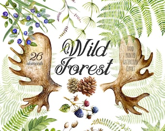 Watercolor ClipArt Hand Drawn Blueberry, Blackberry. Forest Berrie, Pine cones, Fern, Horn, Oak Leaf, DIY elements, invite, transparent png