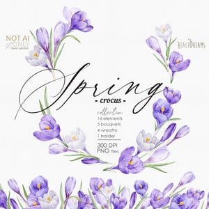 Peut inclure: Illustration à l'aquarelle d'une collection de crocus de printemps. L'image présente une couronne de fleurs de crocus violettes et blanches avec des tiges et des feuilles vertes. Le texte comprend "Spring - crocus collection".