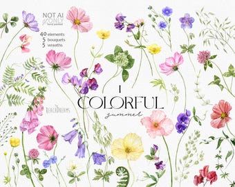 May include: Watercolor illustrations of various flowers and plants, including cosmos, sweet peas, clover, and foxgloves. The illustrations are in shades of pink, purple, yellow, and green. The text "I Colorful summer" is written in black letters.