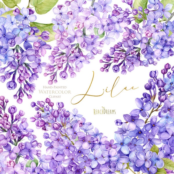 Lilac Watercolor Clipart, Floral elements, Wedding, Invitation, greeting, flowers, quote, spring, violet, branches, green leaves, card, png