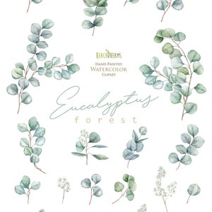 Eucalyptus. Watercolor Floral Clipart. Individual Elements. - Etsy