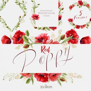 Papoila vermelha aquarela, pintada à mão, flores de papoulas, folhas, convites de casamento, boho, clipart de moldura floral, cartão de felicitações, clipart diy