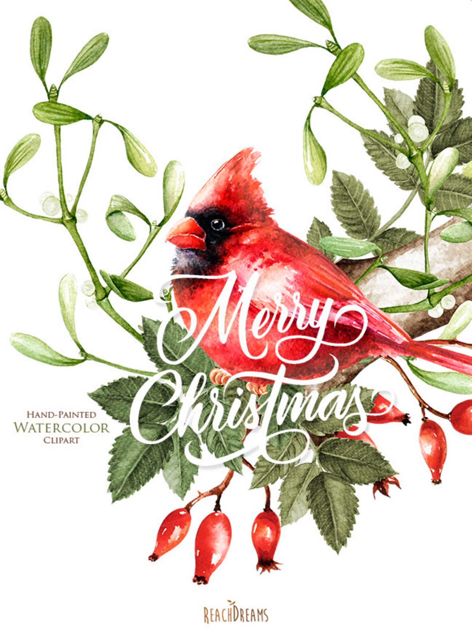 Watercolor Christmas Clipart Mistletoe Briar Red Cardinal | Etsy