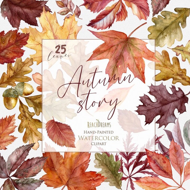May include: A watercolor clipart set of 25 autumn leaves in various shades of red, orange, yellow, and brown. The leaves are arranged in a circle around the text "Autumn Story" and the words "ReachDreams Hand-Painted Watercolor Clipart".