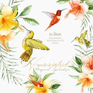 Colibris, clipart aquarelle, oiseaux exotiques, feuilles tropicales, tourtereaux, feuilles vertes, oiseau sauvage, invitations, jardin, paradis