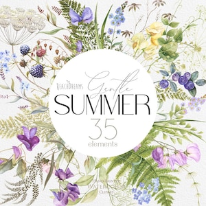 Fleurs sauvages Aquarelle Floral Clipart Prairie Printemps Été Sauvage Herbes Clip Art Plantes Herbes Fleurs Éléments Mariage Graphiques Botanique PNG