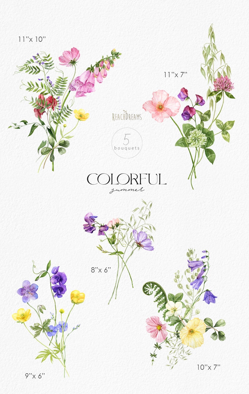 May include: Five watercolor floral bouquets with different arrangements of pink, purple, yellow, and white flowers. The bouquets are labeled with their dimensions in inches. The text "REACHDREAMS" and "COLORFUL summer" are also included in the image.