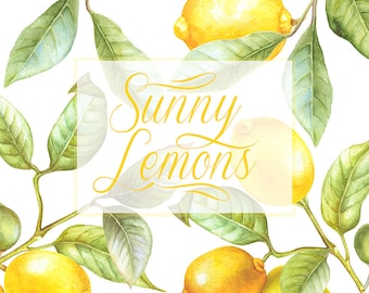 Lemon Watercolor Clipart. Hand painting fruit, Lime, kitchen, Food wall art. Digital png, Wedding DIY invites, scrapbooking