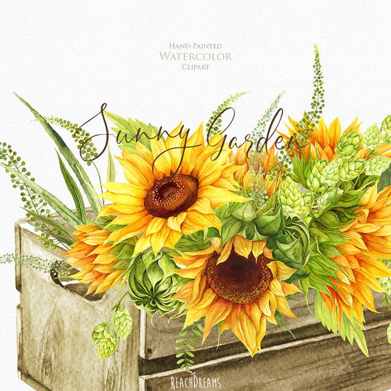 Sunflowers Watercolor Flower clipart, Hand painted, DIY Clip Art, Summer Herb, Bohemian Boho, floral invitation, greeting card, PNG files image 3