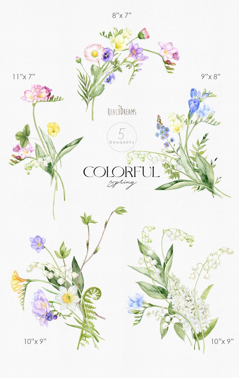 May include: Five watercolor illustrations of spring bouquets featuring various flowers, including lilies of the valley, freesia, and daisies. The bouquets are arranged in a circle with the text "REACHDREAMS" and "COLORFUL Spring" in the center. The bouquets are labeled with their dimensions in inches.