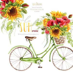 Tournesol Aquarelle Fleur clipart, coquelicot rouge, vélo vintage, vélo, été, tournesols rustiques, houblon, herbes, boho, boho, floral numérique