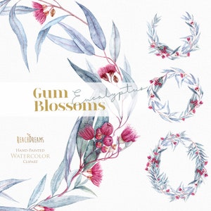 May include: Watercolor illustration of gum blossoms and eucalyptus leaves. The illustration features three wreaths of eucalyptus leaves and blossoms, and a single branch with blossoms. The text "Gum Eucalyptus Blossoms" is written in gold lettering.