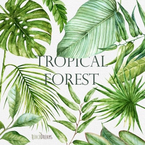 Folhas brilhantes tropicais em aquarela. Clipart pintado à mão, folhagem, folha verde, trópico, convite de casamento, elementos separados, saudação, faça você mesmo